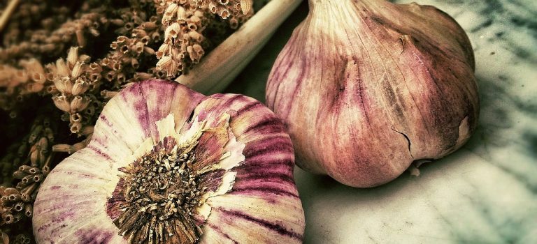 01.06.2024 Knoblauch Tag